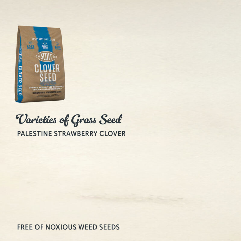 O.M. Scott & Sons™ Clover Seed image number null