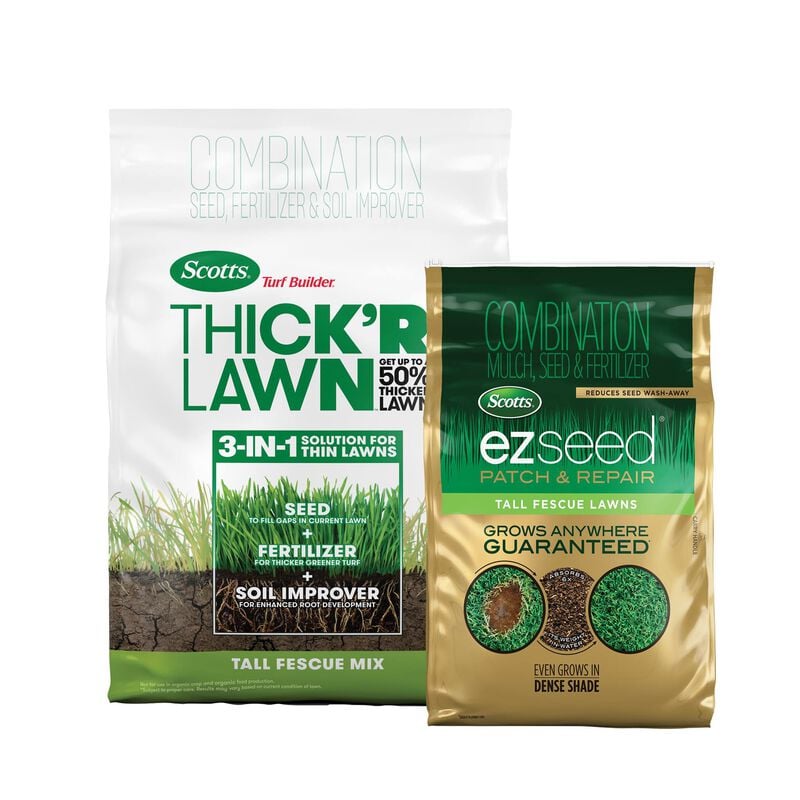 Scotts Tall Fescue Lawn Repair Collection Scotts Tall Fescue Lawn Repair Collection