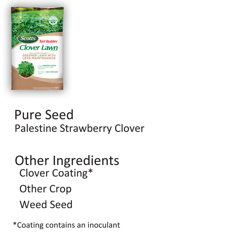 Scotts® Turf Builder® Clover Lawn image number null