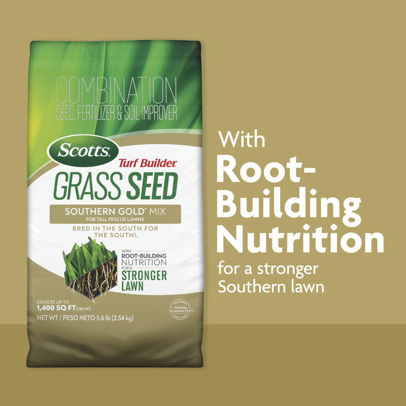 Scotts® Grass Seed Southern Gold® Mix for Tall Fescue Lawns and Turf Builder® Triple Action Built for Seeding image number null