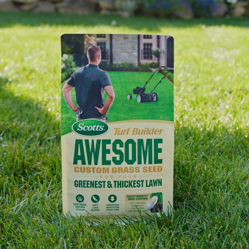 Scotts®️ Turf Builder®️ AWESOME Custom Grass Seed image number null