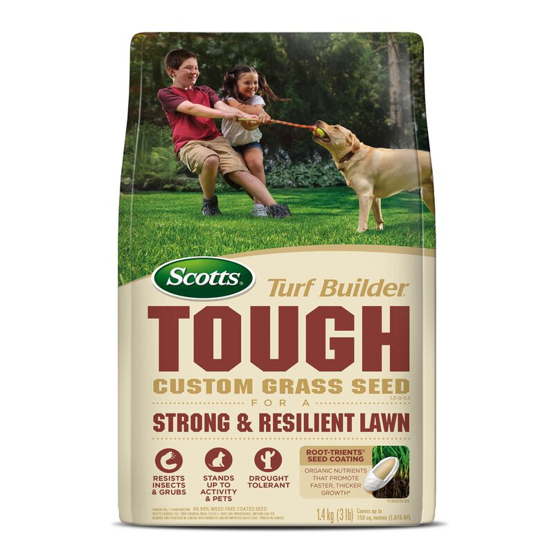 Scotts®️ Turf Builder®️ TOUGH Custom Grass Seed image number null