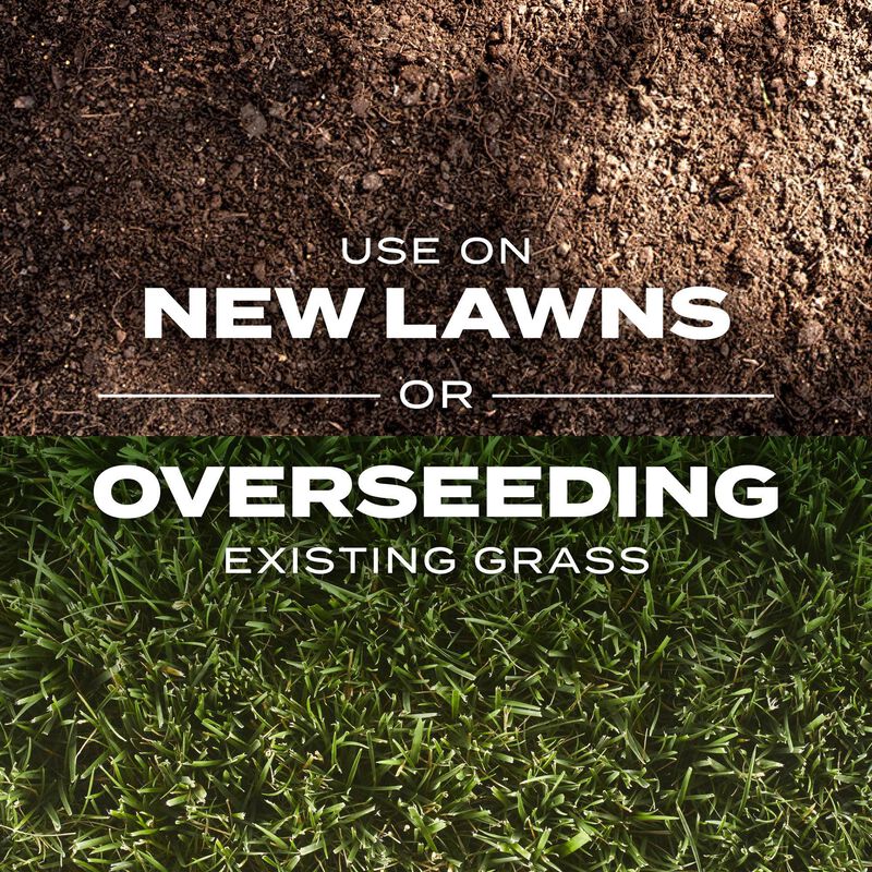 Scotts® Turf Builder® Rapid Grass Tall Fescue Mix image number null