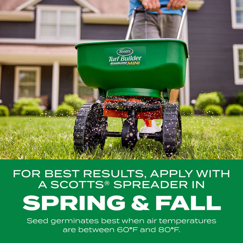 Scotts® Turf Builder® Thick'R Lawn® Tall Fescue Mix image number null
