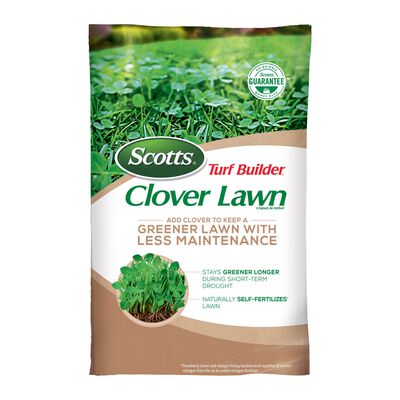 Scotts® Turf Builder® Clover Lawn