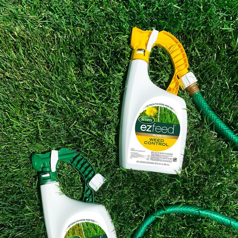 Scotts® EZ Feed™ Plus Greening Power image number null