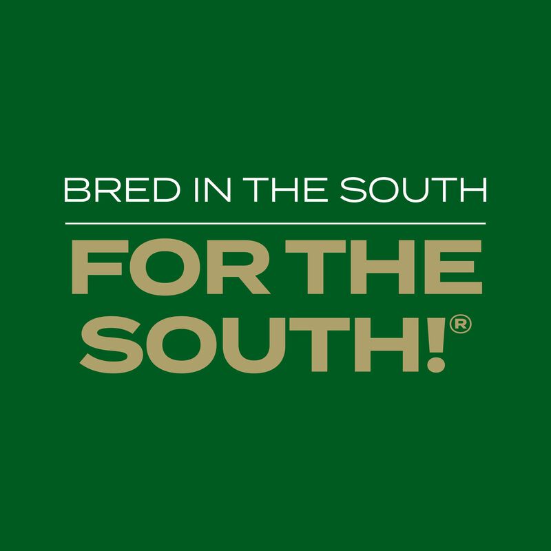 Scotts® Turf Builder Rapid Grass™ Southern Gold® Blend for Tall Fescue Lawns image number null
