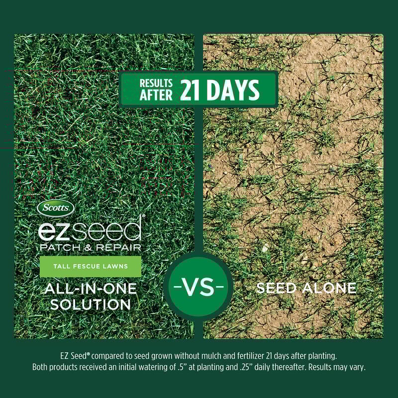 Scotts Tall Fescue Lawn Repair Collection Scotts Tall Fescue Lawn Repair Collection