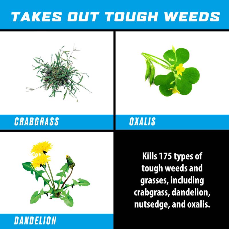 Ortho® Groundclear® Weed & Grass Killer Super Concentrate₁ image number null