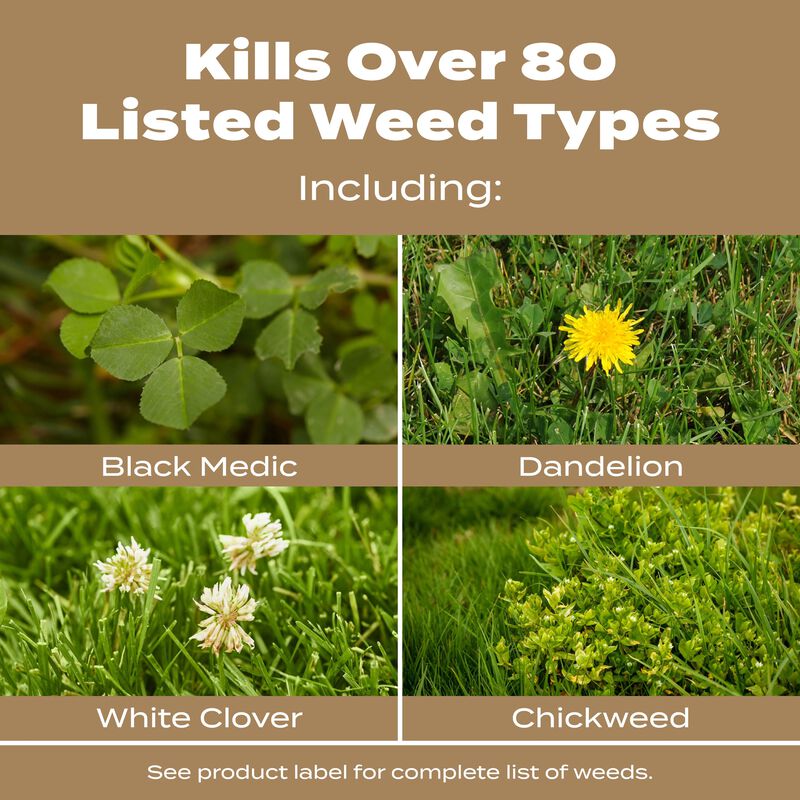 Scotts® Turf Builder® Weed & Feed for Texas Lawns image number null