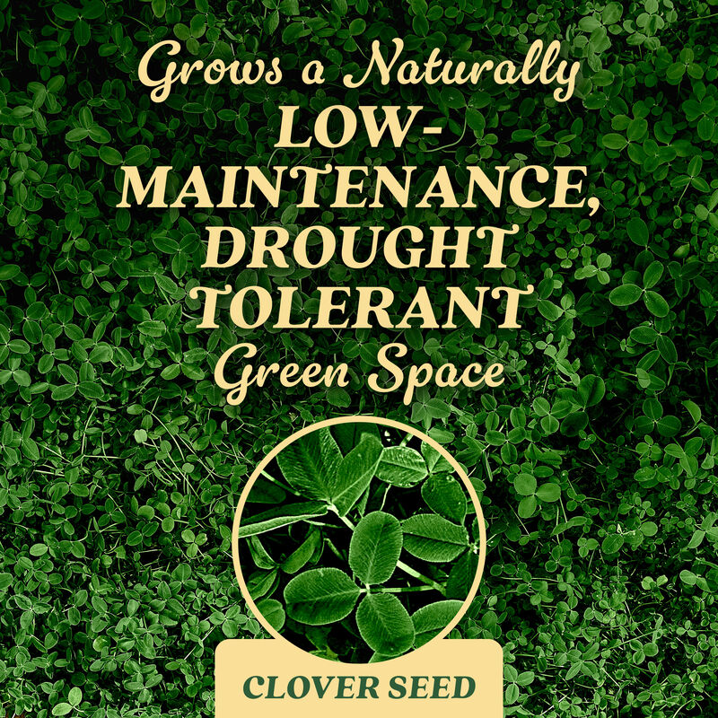 O.M. Scott & Sons™ Clover Seed image number null