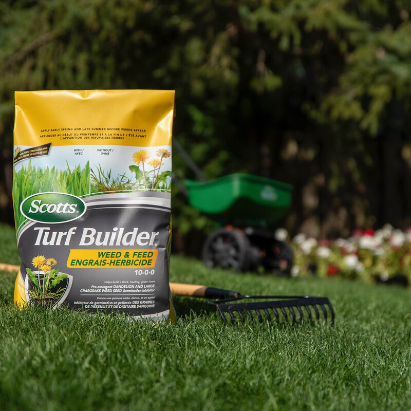Scotts® Turf Builder® Grass Seed Shady Areas Mix image number null