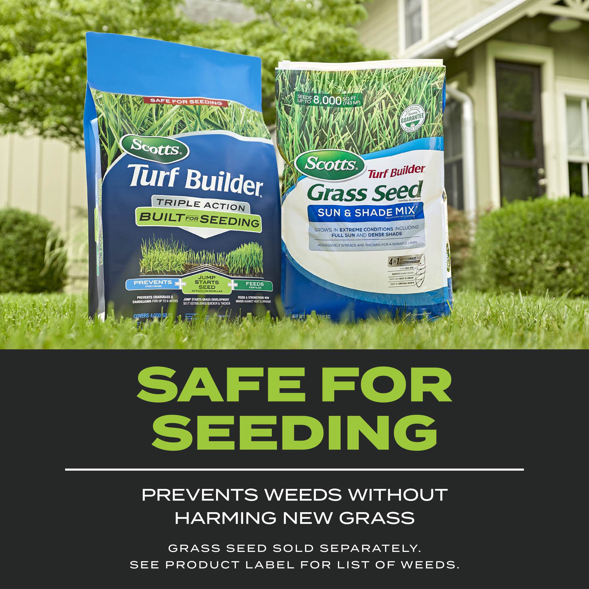 Scotts seeding hot sale