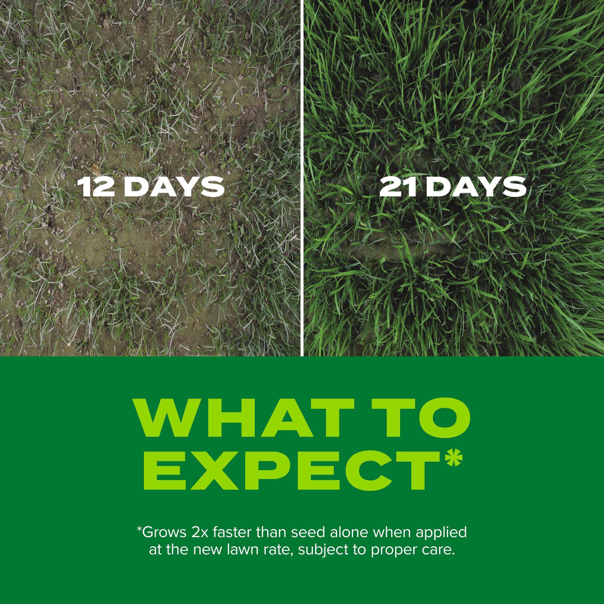 Scotts Turf Builder Rapid Grass Sun Shade Mix Scotts