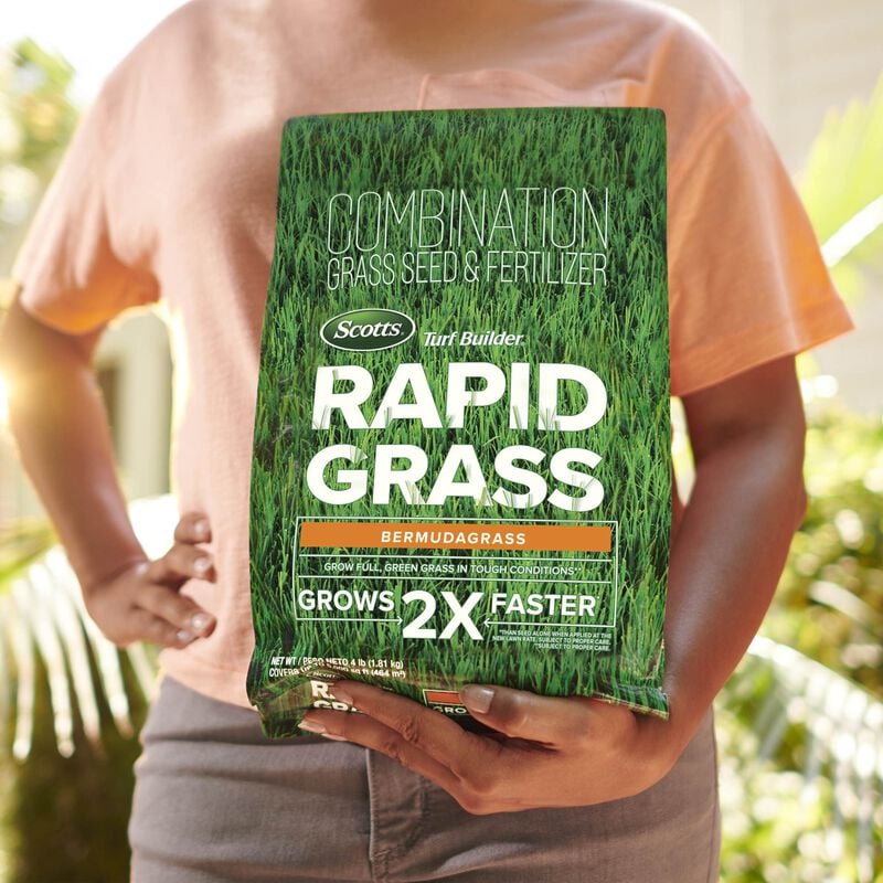 Scotts® Turf Builder® Rapid Grass Bermudagrass image number null