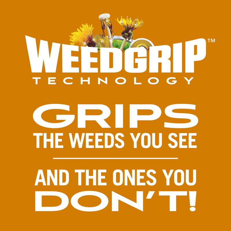 Scotts® Turf Builder® WinterGuard® Fall Weed & Feed₅ image number null