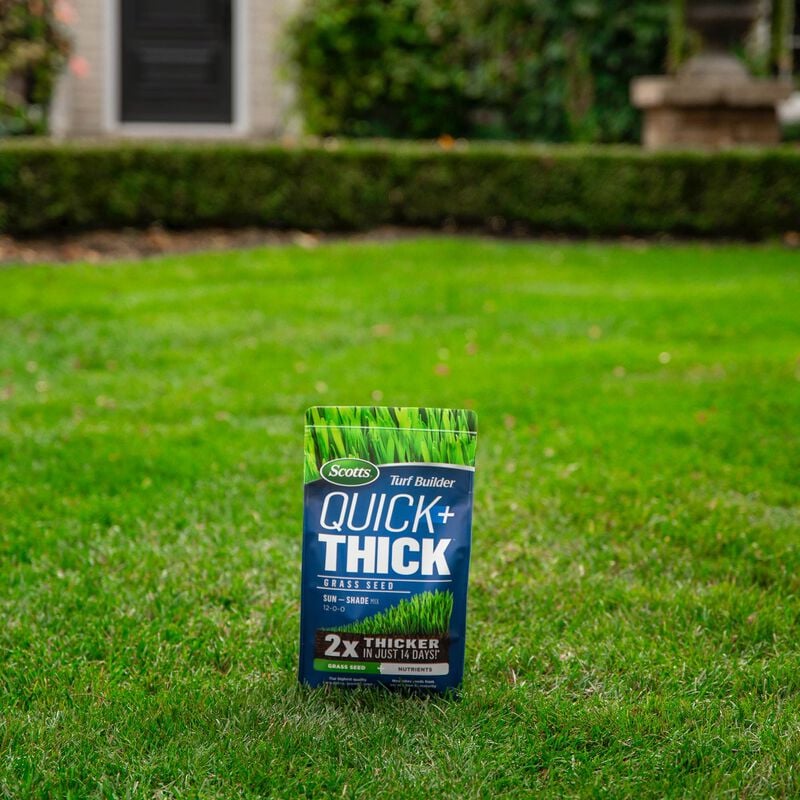 Semence de gazon Quick + Thick™ Scotts® Turf Builder® Mélange soleil et ombre image number null