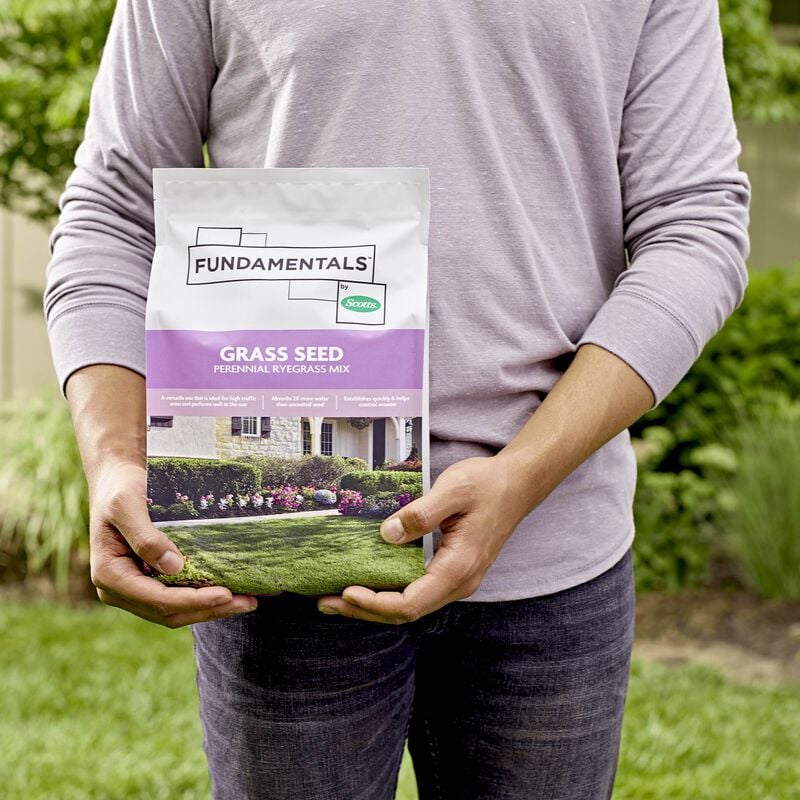 Fundamentals™ by Scotts® Grass Seed Perennial Ryegrass Mix image number null