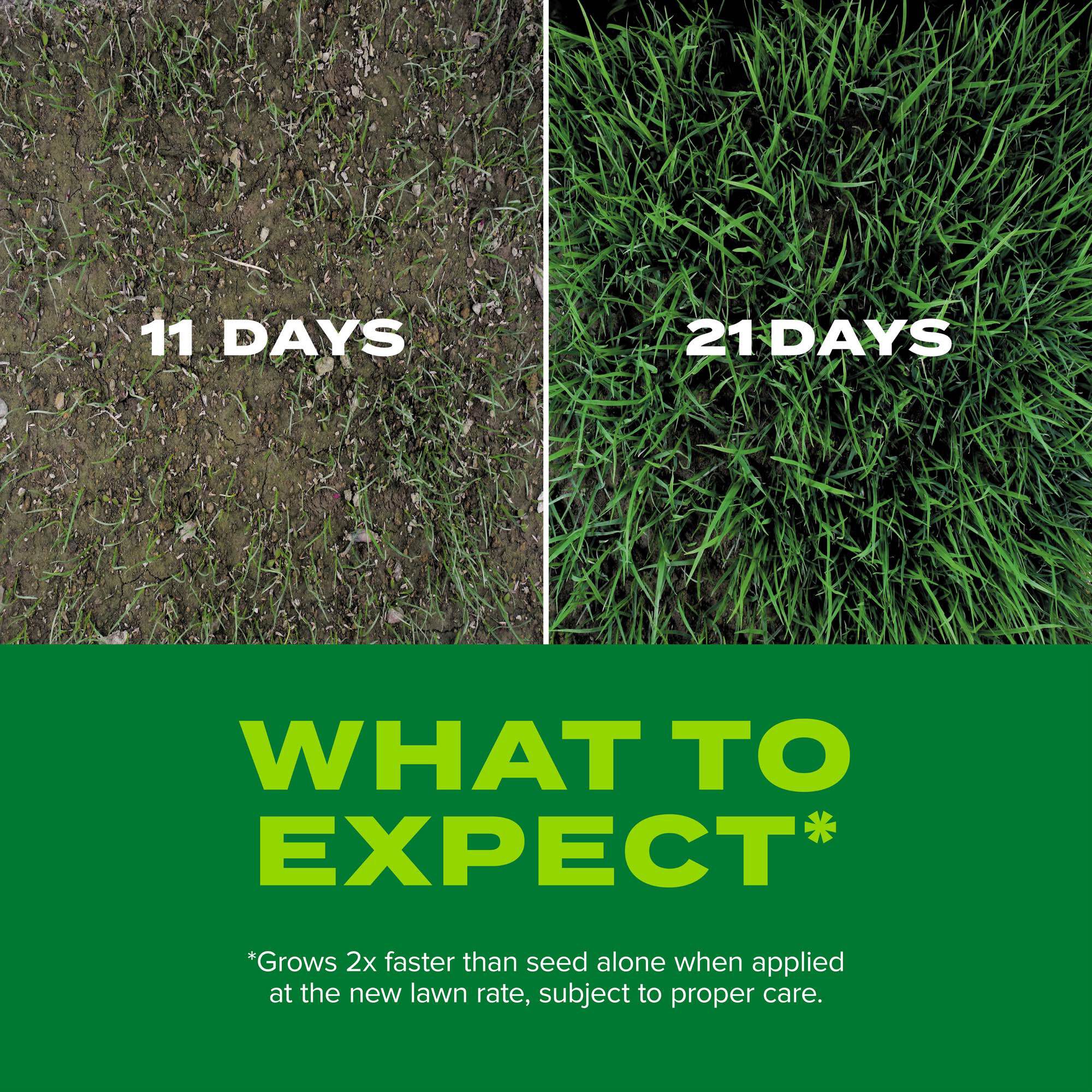 Scotts Turf Builder Rapid Grass Tall Fescue Mix Scotts