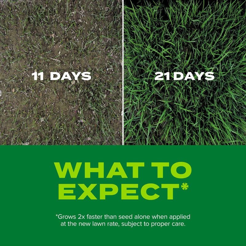 Scotts® Turf Builder® Rapid Grass Tall Fescue Mix image number null