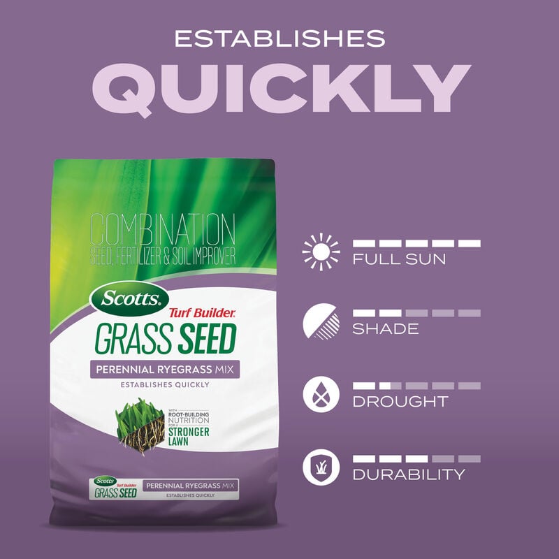 Scotts® Turf Builder® Grass Seed Perennial Ryegrass Mix image number null