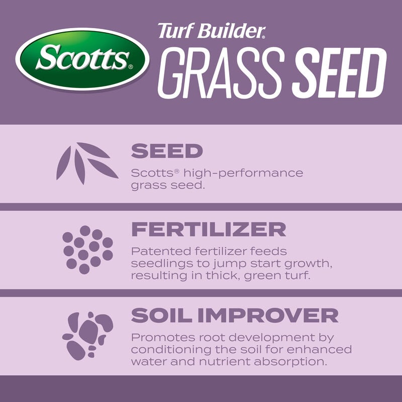 Scotts® Turf Builder® Grass Seed Perennial Ryegrass Mix image number null