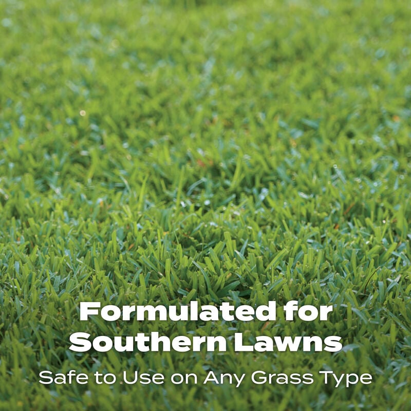 Scotts® Turf Builder® Southern Lawn Food image number null