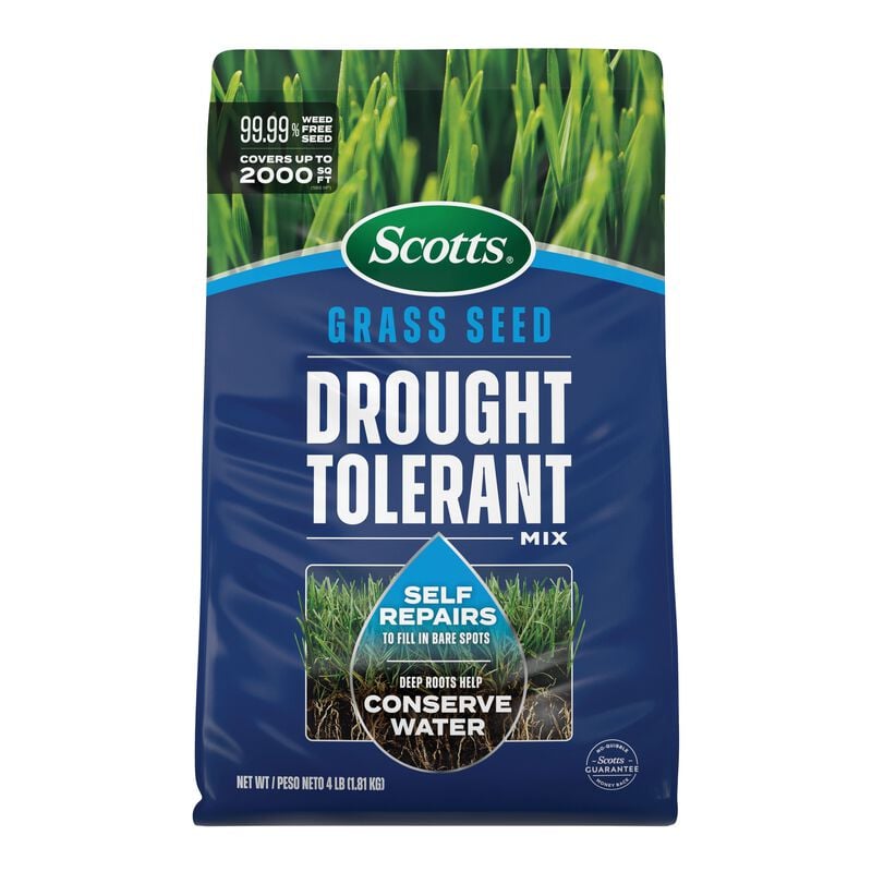 Scotts® Grass Seed Drought Tolerant Mix image number null