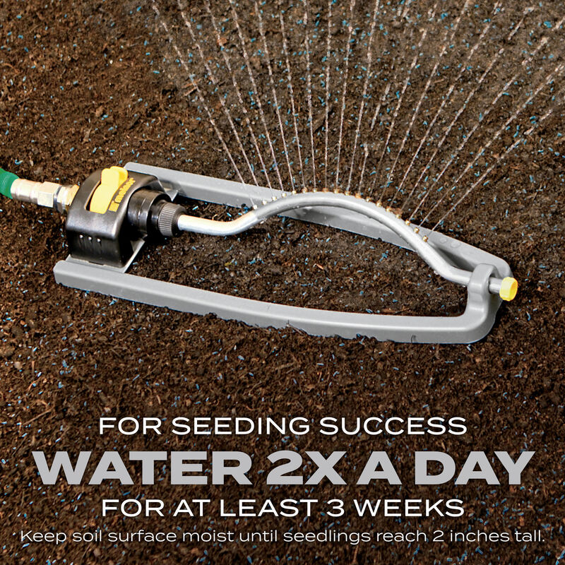 Scotts Turf Builder Grass Seed Northeast Mix Scotts