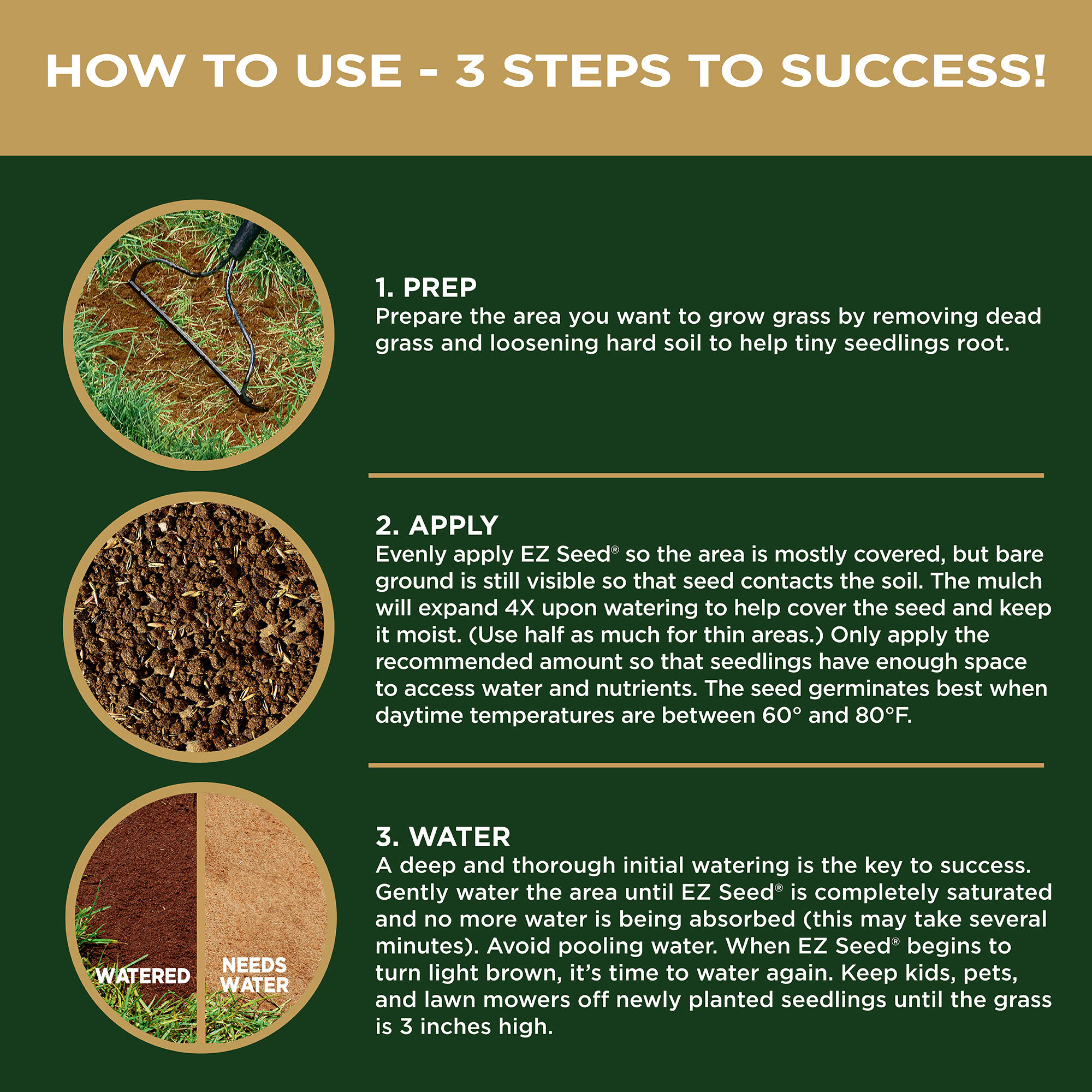 Scotts grass seed top