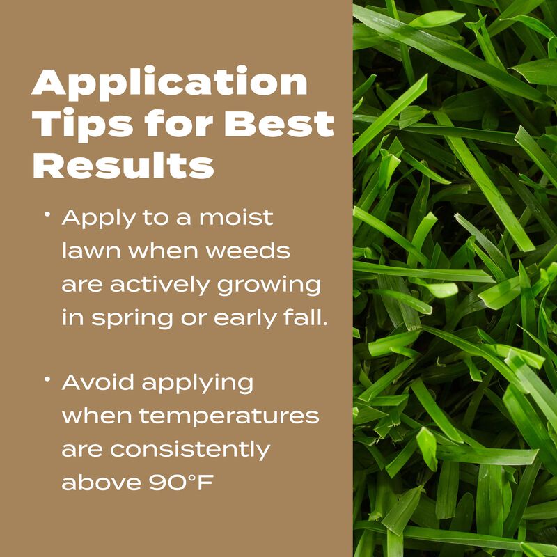 Scotts® Turf Builder® Weed & Feed for Texas Lawns image number null