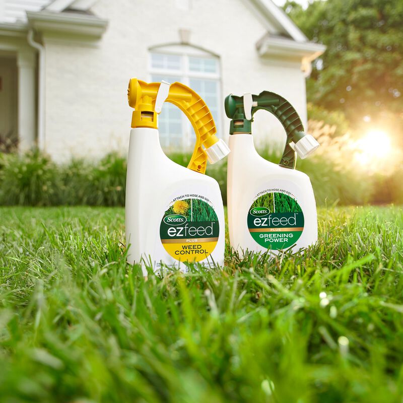 Scotts® EZ Feed™ Plus Greening Power image number null