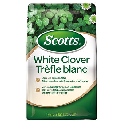 Scotts® White Clover
