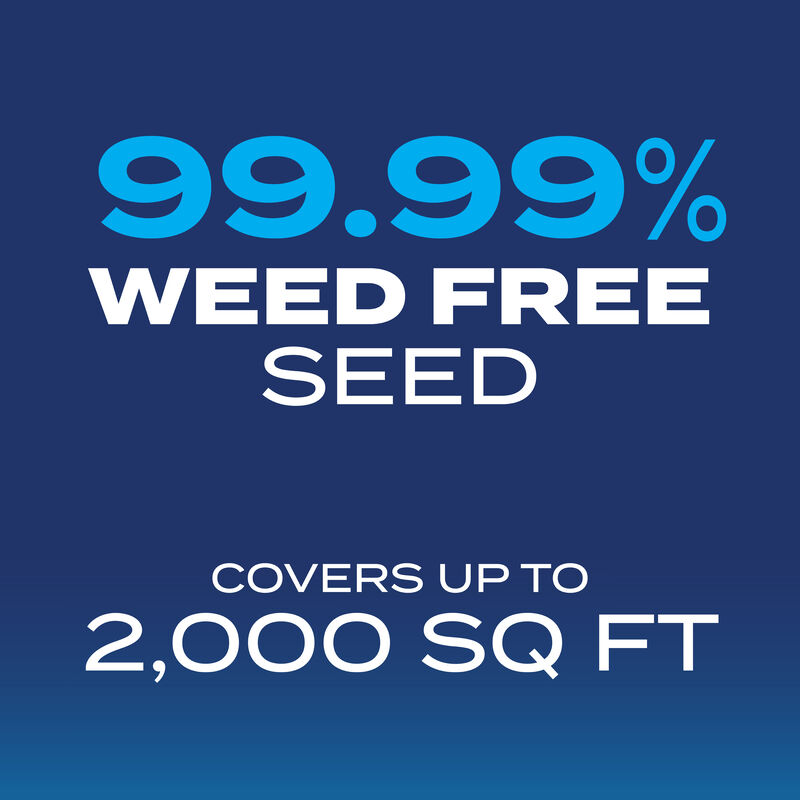 Scotts® Grass Seed Drought Tolerant Mix image number null