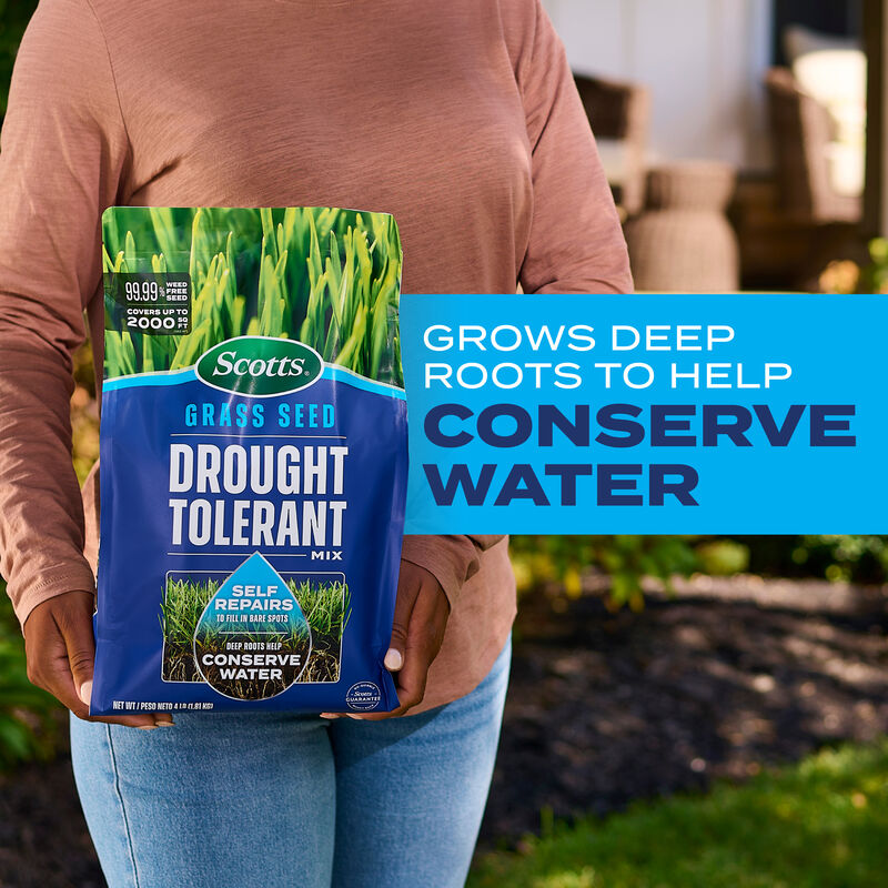 Scotts® Grass Seed Drought Tolerant Mix image number null