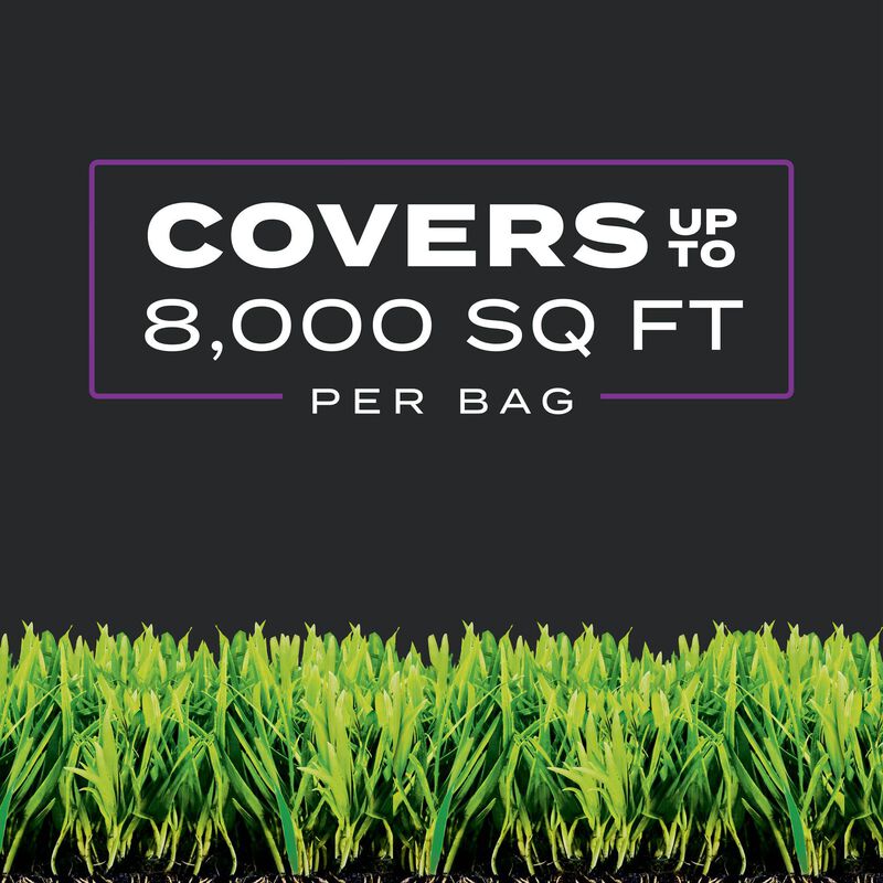 Scotts® Turf Builder® Southern Triple Action image number null