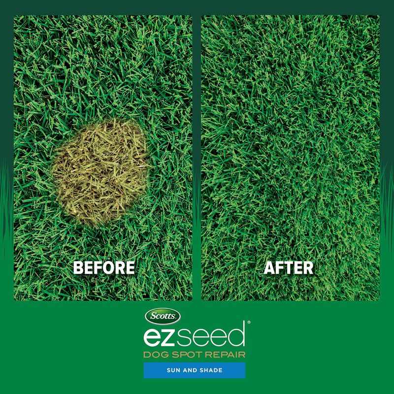 Scotts® EZ Seed® Dog Spot Repair Sun and Shade image number null