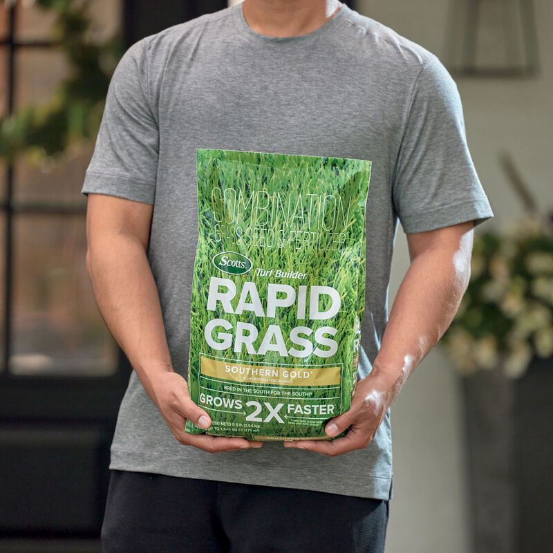 Scotts® Turf Builder Rapid Grass™ Southern Gold® Blend for Tall Fescue Lawns image number null
