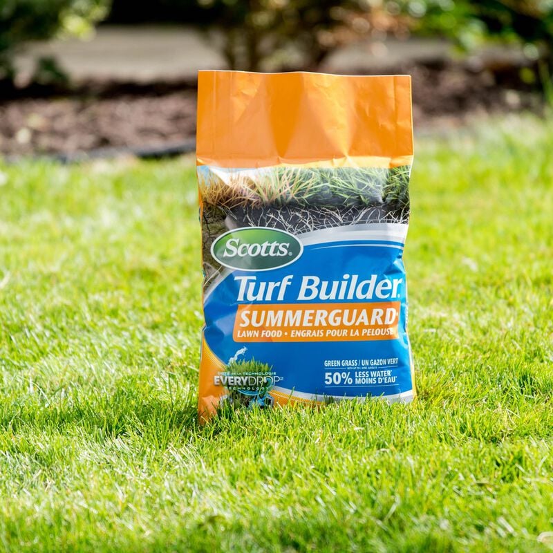 Engrais pour la pelouse Scotts® Turf Builder® SummerGuard® avec la technologie EveryDrop® image number null