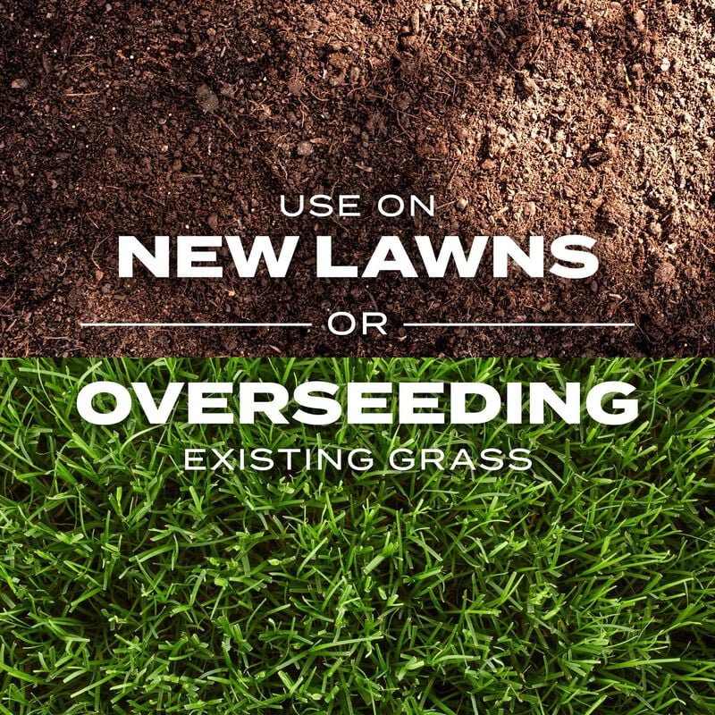 Scotts Turf Builder Rapid Grass Bermudagrass Scotts Scotts Turf Builder Rapid Grass Bermudagrass Scotts