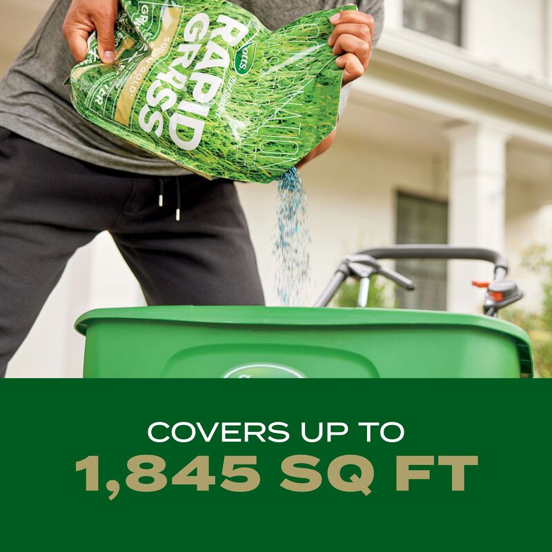 Scotts® Turf Builder Rapid Grass™ Southern Gold® Blend for Tall Fescue Lawns image number null