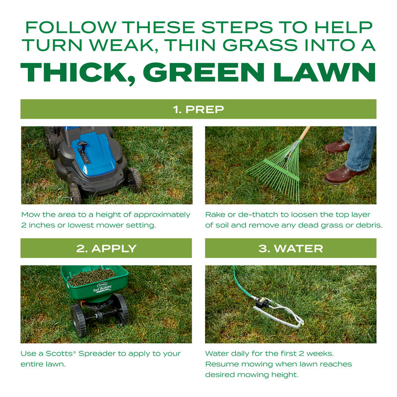 Scotts® Turf Builder® Thick'R Lawn® Tall Fescue Mix image number null