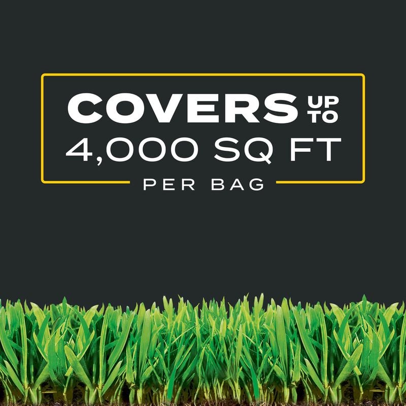 Scotts® Turf Builder® Triple Action₁ image number null