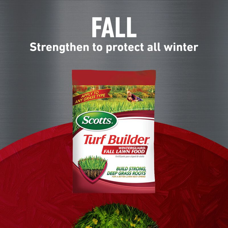 Scotts® Turf Builder® Halts Crabgrass Preventer, Weed & Feed₅, SummerGuard and WinterGuard, 4 Bag Bundle, Small Lawns image number null