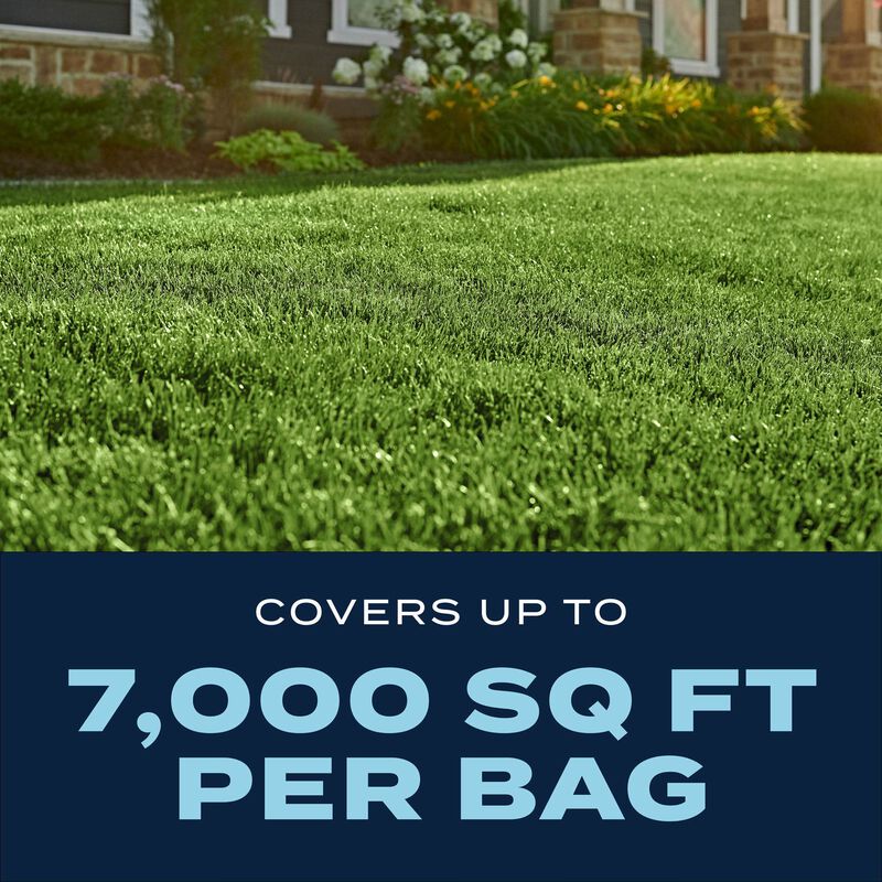 Scotts® Turf Builder® Long Island Lawn Food image number null