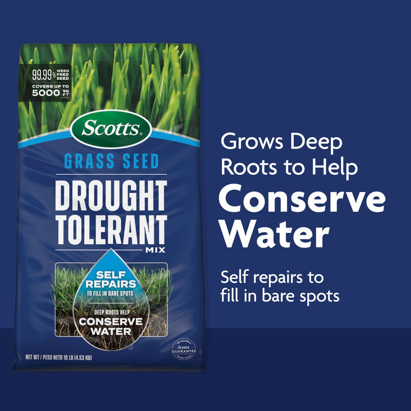 Scotts® Grass Seed Drought Tolerant Mix and Turf Builder® Triple Action Built for Seeding image number null