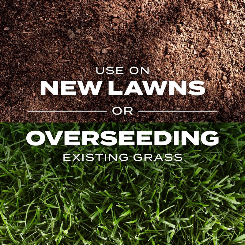 Scotts® Turf Builder Rapid Grass™ Southern Gold® Blend for Tall Fescue Lawns image number null