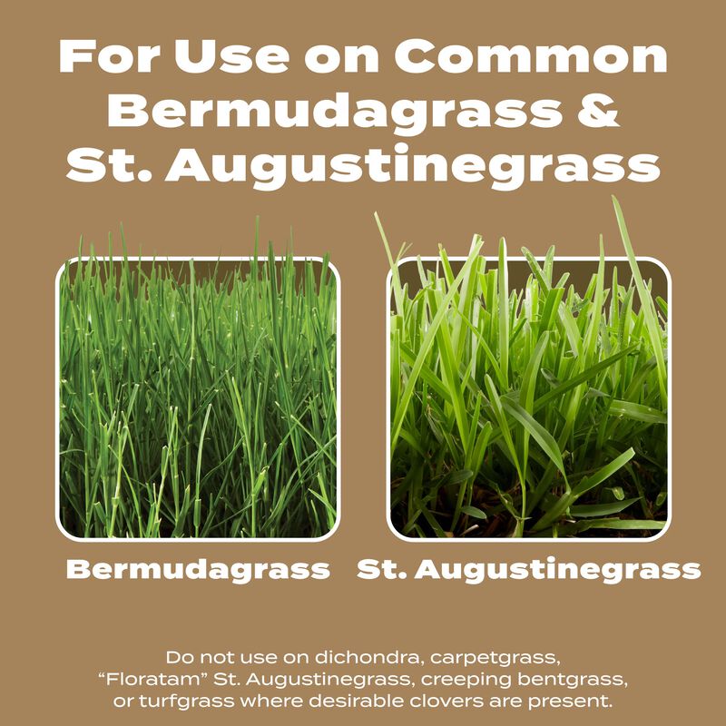 Scotts® Turf Builder® Weed & Feed for Texas Lawns image number null