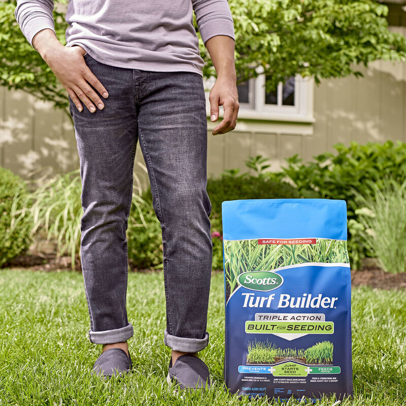 Scotts Turf Builder Triple Action Built For Seeding Scotts