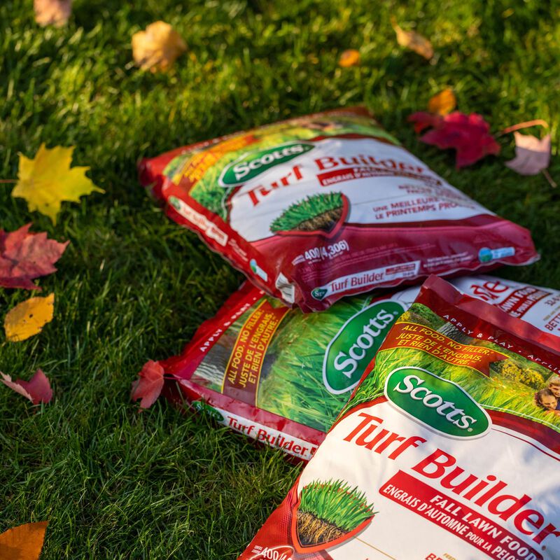 Scotts® Turf Builder® Fall Lawn Food image number null
